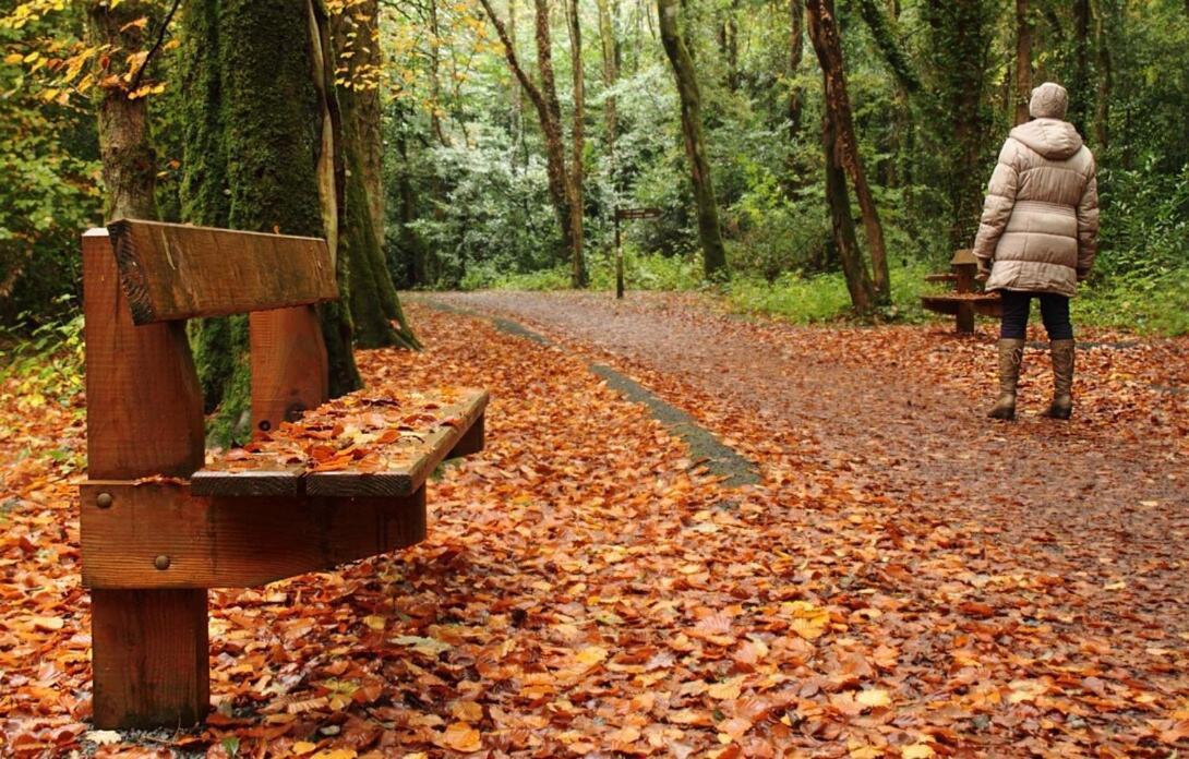 Сasa de vacaciones Belleek Ballina (Mayo)